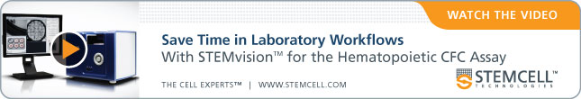 STEMvision_645x110_v01c